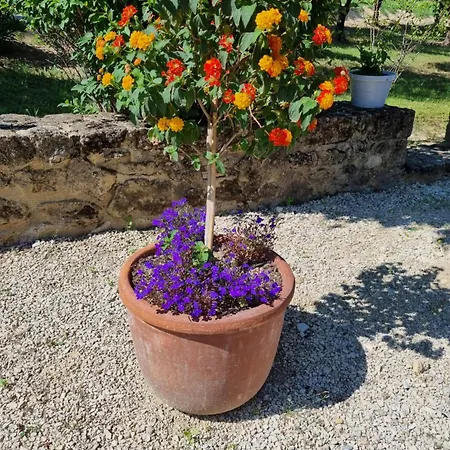 Pensionat La Fanette Montbrison-sur-Lez